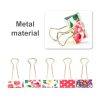 Binder Clips (Set of 2)